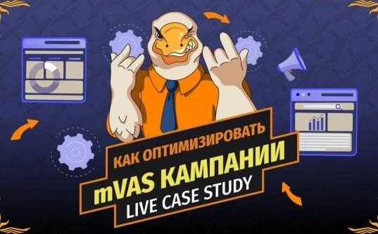 Как оптимизировать кампании mVAS в плюс: практический пример