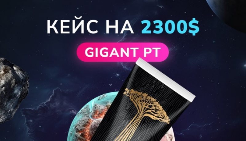 Кейс: Адалт на Португалию с ROI 83% за 3 недели