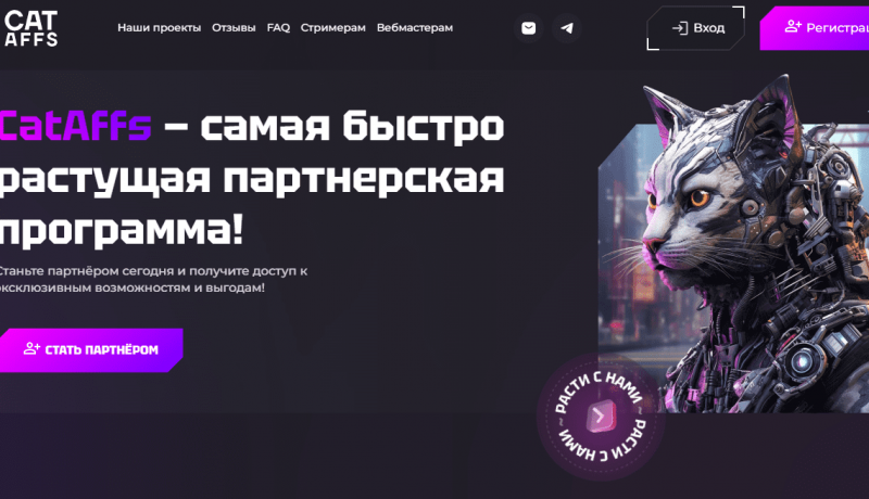 Обзор партнерской программы CatAffs Partners